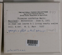 Image Associated With the Occurence